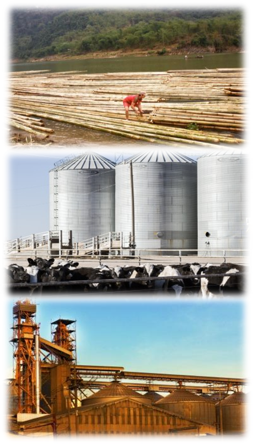 Industries served